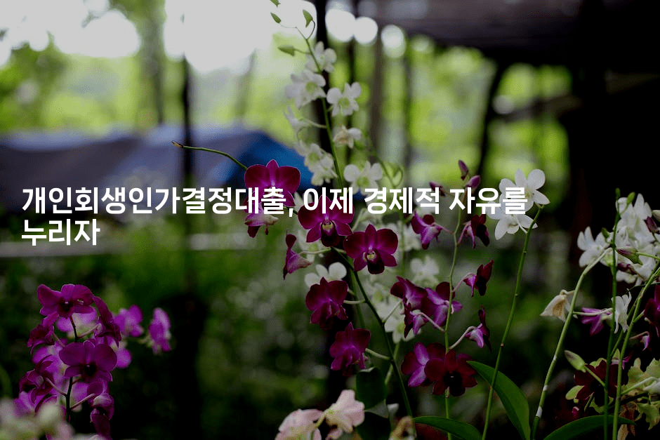 개인회생인가결정대출, 이제 경제적 자유를 누리자-해투탐정