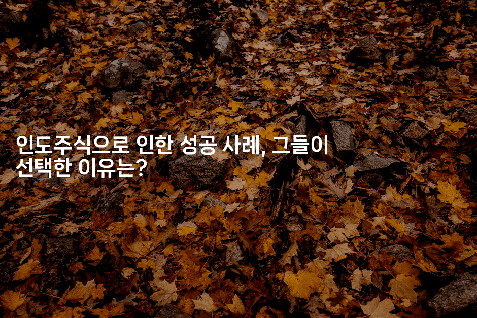 인도주식으로 인한 성공 사례, 그들이 선택한 이유는?2-해투탐정