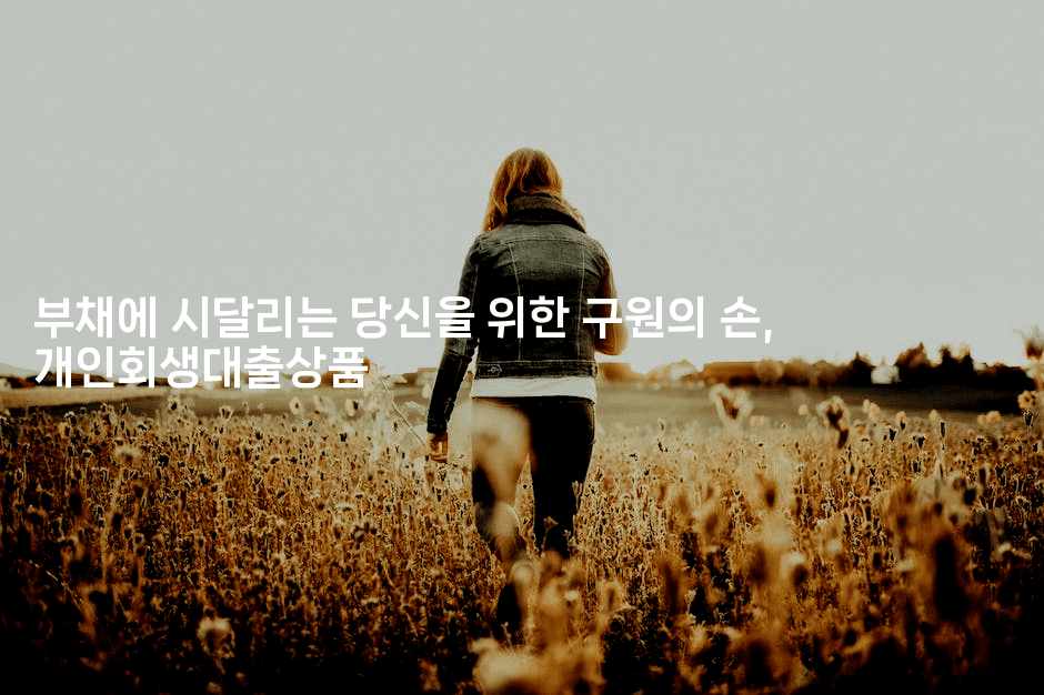 부채에 시달리는 당신을 위한 구원의 손, 개인회생대출상품