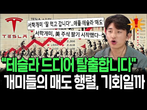 올해 미국주식 매도 1위는 테슬라? 역발상 기회일까