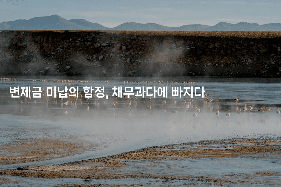 변제금 미납의 함정, 채무과다에 빠지다