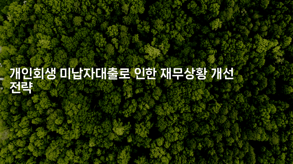 개인회생 미납자대출로 인한 재무상황 개선 전략-해투탐정