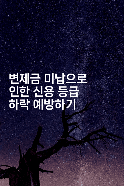 변제금 미납으로 인한 신용 등급 하락 예방하기-해투탐정