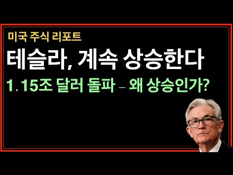 테슬라, 상승하는 이유 – 미국주식, 엔비디아, SOXL, 비트코인, 아이온큐, 펠란티어