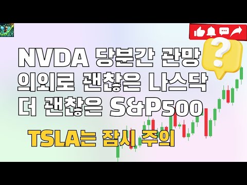 NVDA 당분간 조심해야 합니다. / 미국주식 차트분석 TQQQ SOXL TSLA NVDA USD S&P500 SSO