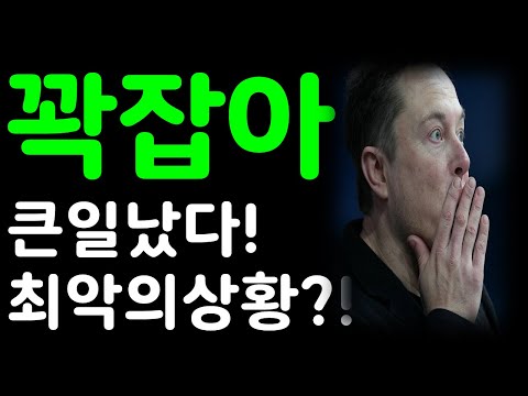 테슬라 꽉잡아! 큰일났다! 최악의상황을 알아두자!