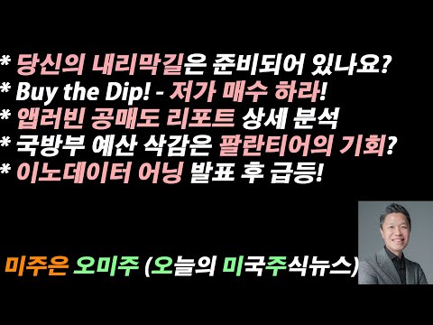 [오늘의 미국주식뉴스] 앱러빈 공매도 리포트 상세 분석 / 국방부 예산 삭감은 팔란티어의 기회? / Buy the Dip! - 저가 매수 하라! / 이노데이터 어닝 발표 후 급등