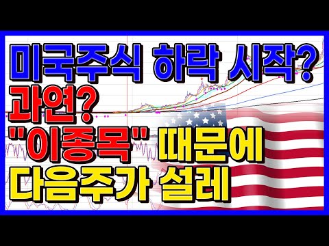 미국주식 하락 시작..? 과연..? 우리는 "이 종목"때문에 다음주가 설레