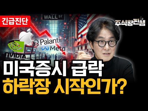 [긴급진단] 미국증시 급락, 하락장 시작인가?ㅣ엔비디아, 팔란티어, 메타, 애플