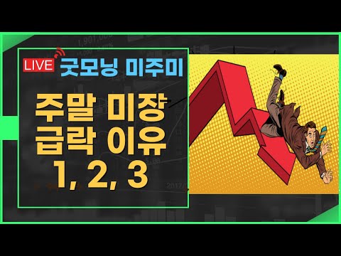 [굿모닝 미주미 주말 특별판] 주말 미국증시 급락한 이유  1, 2, 3 #미주미 #이항영