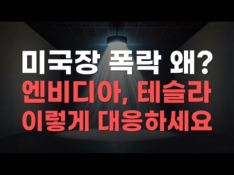 [미국주식] 미국장 폭락 왜? 엔비디아, 테슬라 이렇게 대응하세요 [엔비디아, 테슬라, 아이온큐, 브로드컴, 애플]