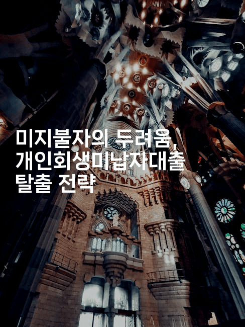 미지불자의 두려움, 개인회생미납자대출 탈출 전략-해투탐정