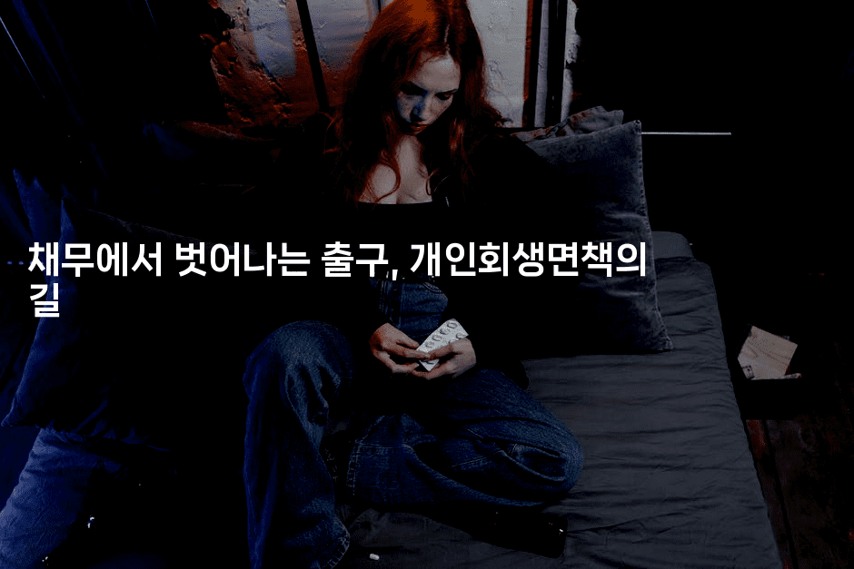 채무에서 벗어나는 출구, 개인회생면책의 길-해투탐정