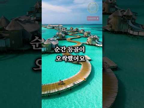 퇴직금으로 해외 투자를 한다는 아빠